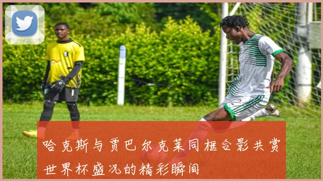 哈克斯与贾巴尔克莱同框合影共赏世界杯盛况的精彩瞬间
