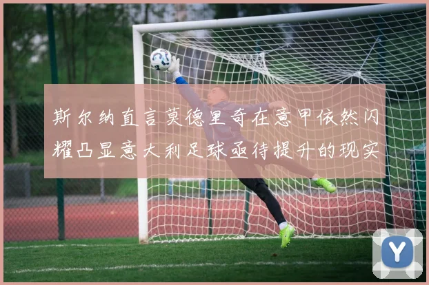 斯尔纳直言莫德里奇在意甲依然闪耀凸显意大利足球亟待提升的现实问题