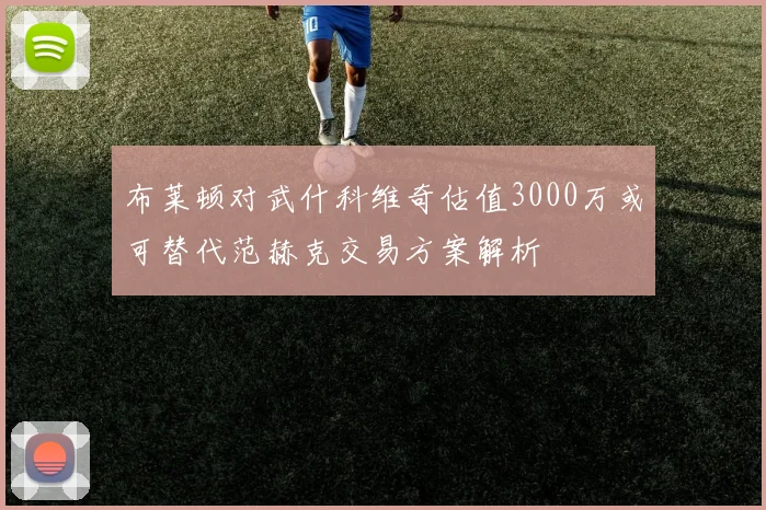 布莱顿对武什科维奇估值3000万或可替代范赫克交易方案解析